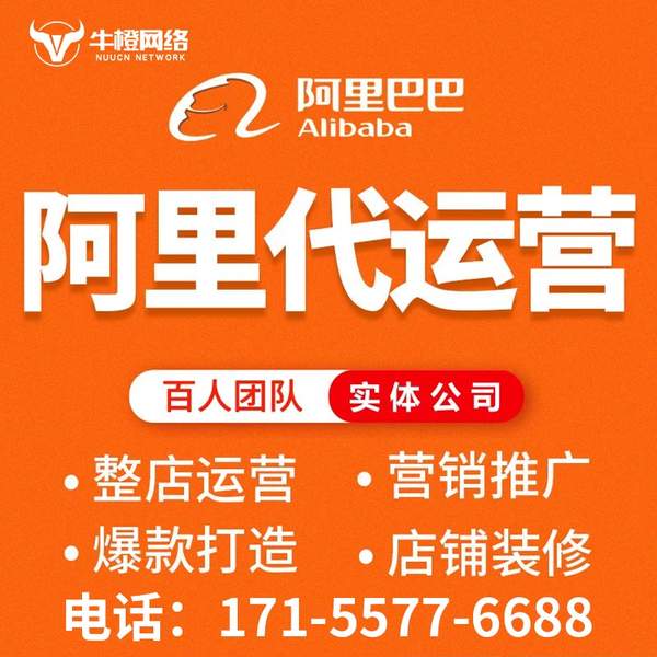 海口电商代运营