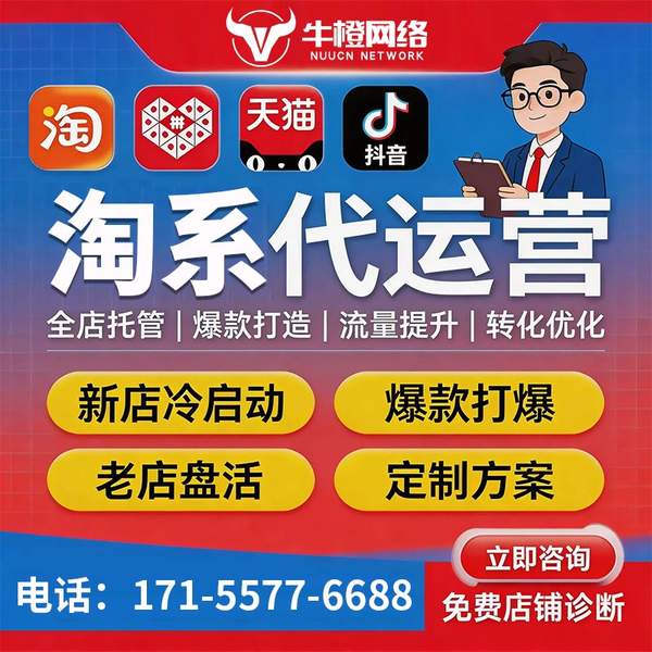 海口电商代运营