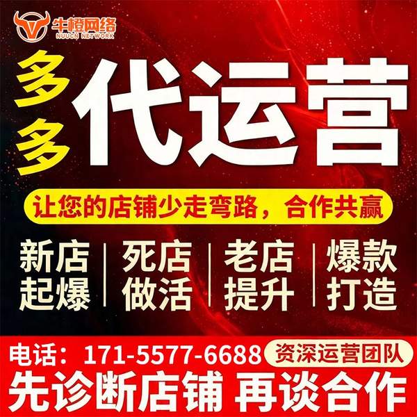 海口电商代运营
