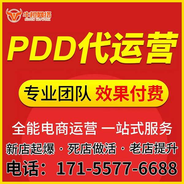 海口电商代运营