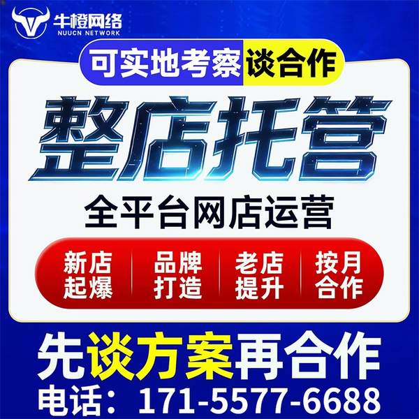 海口电商代运营