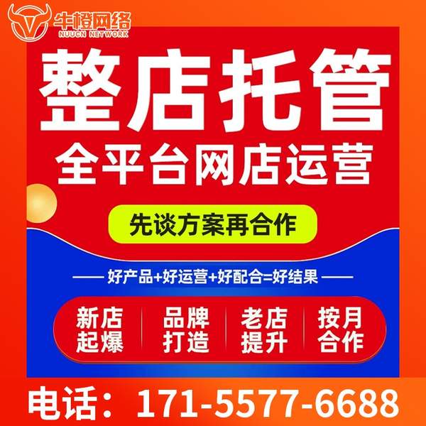 海口电商代运营
