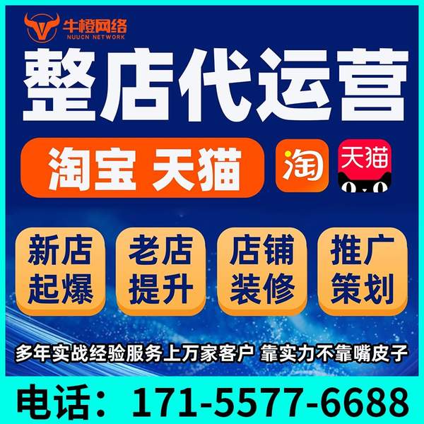海口电商代运营