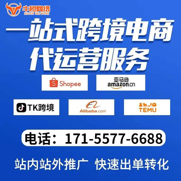 海口电商代运营