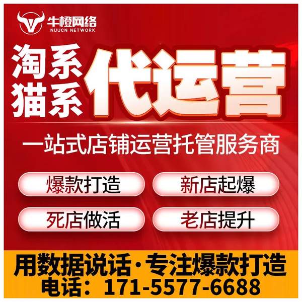 海口电商代运营